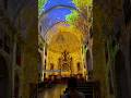 #mallorca #IslandHome #mallorcaliving #movetomallorca #elementsmallorca #lasershow#hallelujah