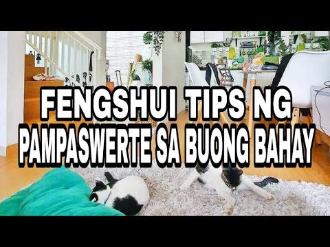 Video: Mga Halaman sa Bahay sa Sala - Mga Tip Sa Pagpapalaki ng Mga Halaman Sa Sala