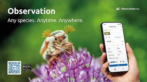 Tutorial app Observation