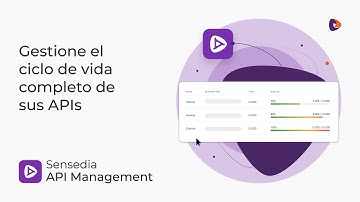 API Management Platform - Gerencie el ciclo de vida completo de sus APIs