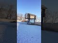 Тренировка гривунов. 08.01.2020