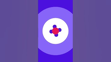 Dynamic Shapes | Motion Explorations | Everything Motion