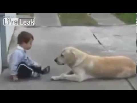 Handicapped boy with Man's best Friend Hold Your Tears Back If You Can