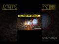 Millipede POV Camera – Inside the Hidden Underground World 😲
