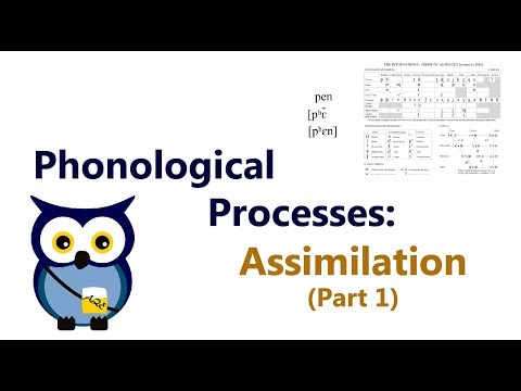 Video: Što je fonološki proces epenteze?