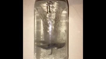 ME106 Flow Visualization Project (Edited)