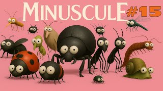 Minuscule - Compilation #15 #antkeeper #hobby #ants #diy #forkids