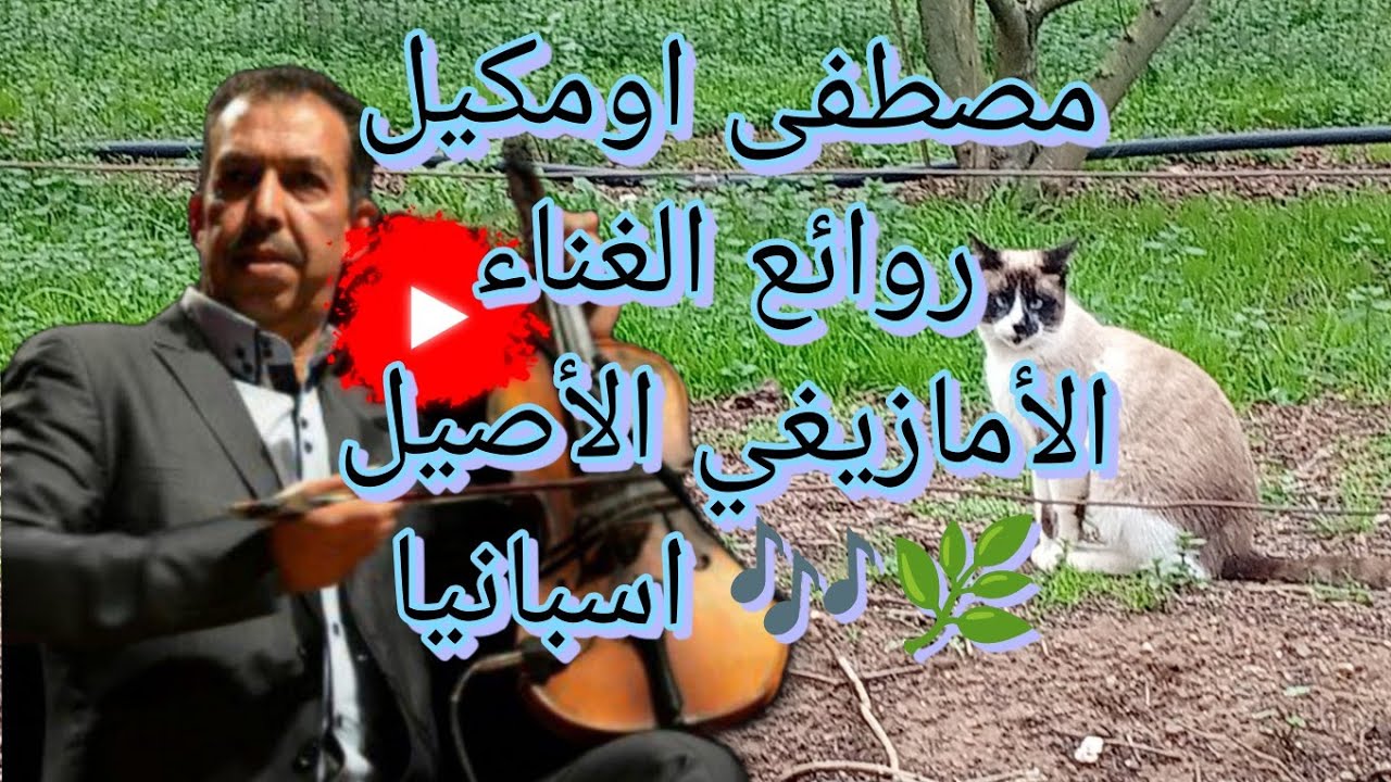 جولة مع القطة وأولادي بين لحظات عفوية ودفء العائلة، على إيقاع أغنية للفنان مصطفى أومكيل 🎶