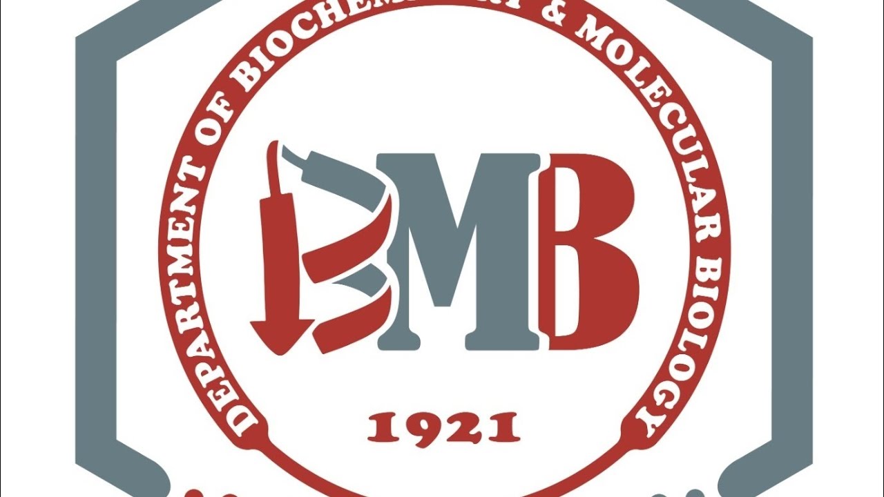 Amino acids metabolic disorders