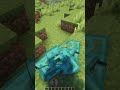 Warped Trapdoor Physics in Minecraft