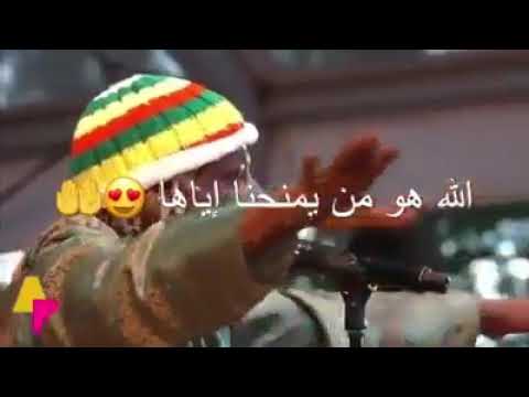 მამშვიდებს