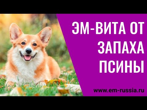 "ЭМ-ВИТА" для избавления от запаха псины