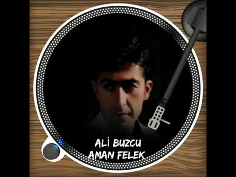 ALİ BUZCU AMAN FELEK ÖZDİYAR