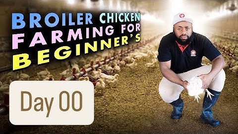 Day 00: Ultimate Guide to Preparing a Chicken Brooder for Broiler Chickens | Broiler Chicken Basics