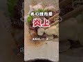 【炎上】あの焼肉屋 牛○城 がレバーを…