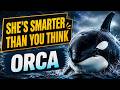 ORCA: The Most INTELLIGENT Predator In The Ocean — And Why GREAT WHITE SHARKS Run From It