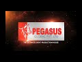 Events owned by pegasus global pvt ltd