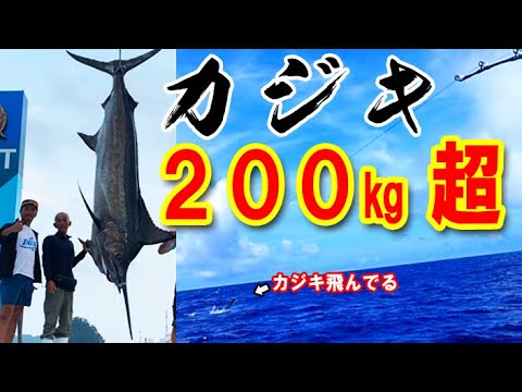 【200㎏超えカジキ】下田国際カジキ釣り大会、2時間半の死闘を遂にお見せします