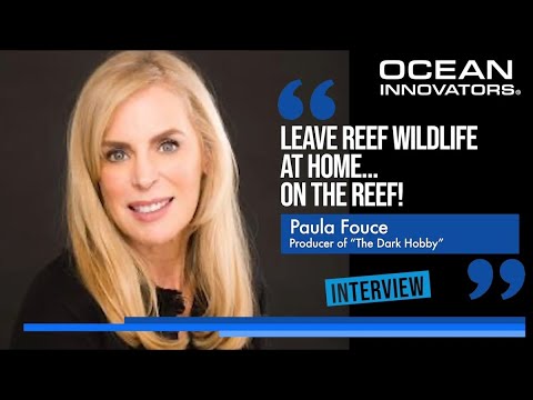 Paula Fouce (Producer of The Dark Hobby) - Ocean Innovator Interview