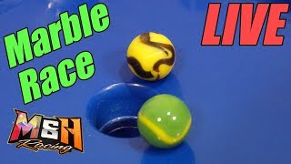 LIVE Marble Race Tournament (350K Sub Special!)