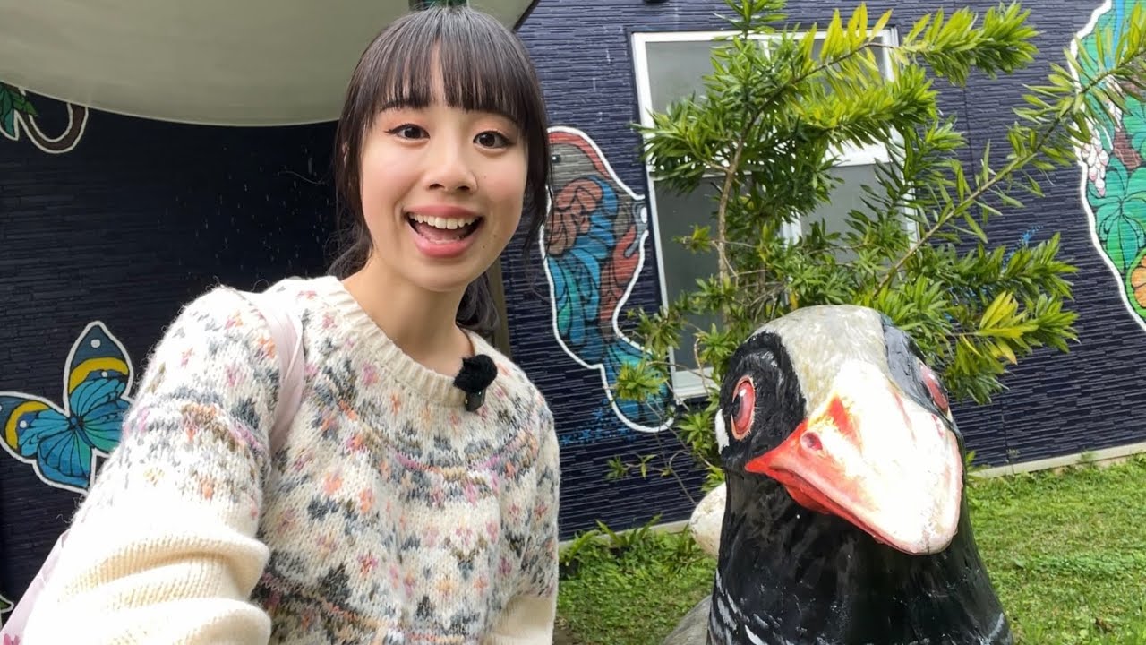 Flightless bird 🐦 | Okinawa vlog 1 - YouTube