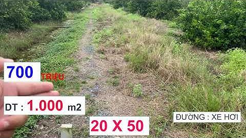 TẬP : 38 .BÁN ĐẤT VƯỜN GIÁ RẺ .20 X 50 .DT : 1.000 m2 .700 TRIỆU .ĐƯỜNG XE HƠI .BẾN LỨC ,LONG AN