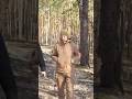 Як росіяни ледь не спіймали в полі #бердянськ #війна