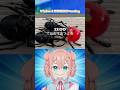 【Vlog】VTuberと元楽器店員のsetlog #short　#vtuber