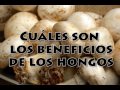 beneficios al consumir cloruro de magnesio 1ra parte - YouTube