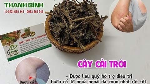 Cây Cải Trời - Công dụng của cây cải trời