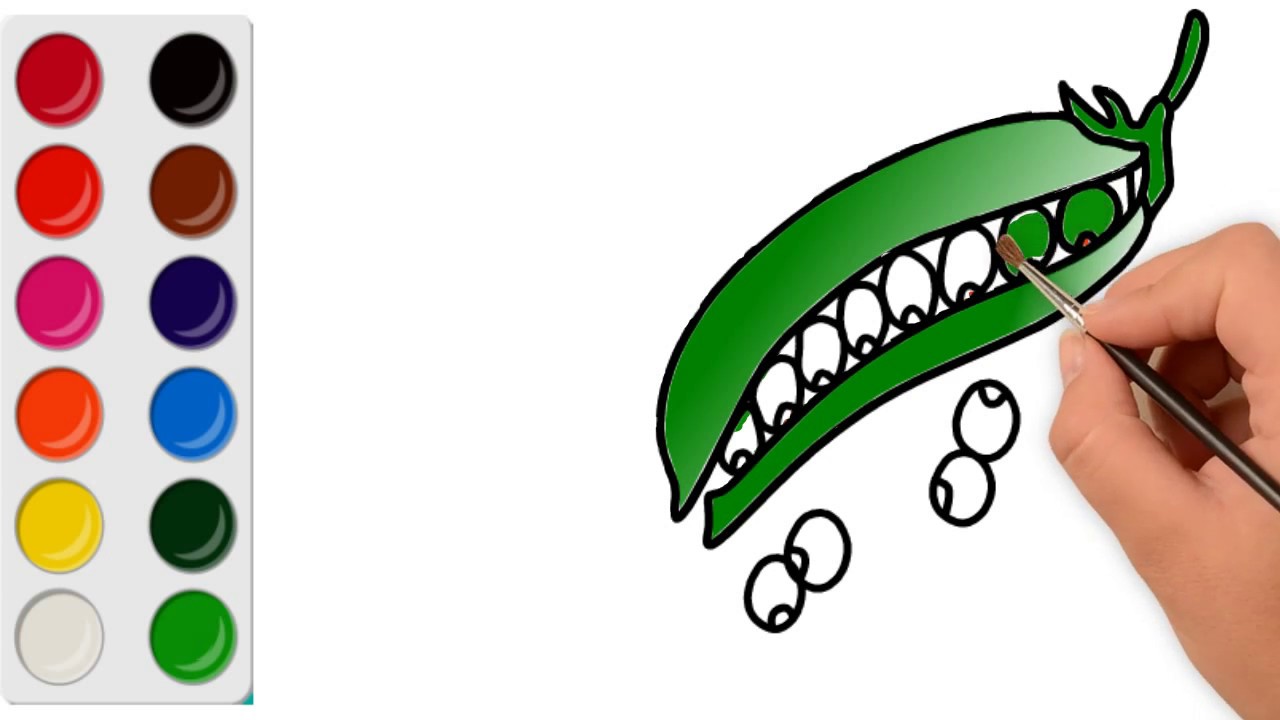 How to Draw A Green Been - YouTube