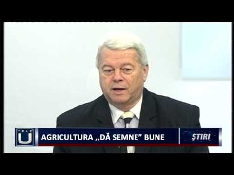 Video: Cum Se Determină Vremea Prin Semne