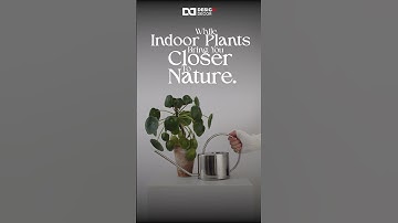 🌿Breathe Easy with Scandinavian Design✨
