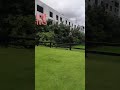 Fortune select trinity 4 🌟🌟🌟🌟 hotel Bangalore | Outdoor grassland
