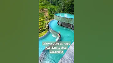 Wanna Jungle Pool And Bar In Bali The Kayon Jungle Indonesia The Spotlight ASFA 
