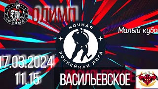 НХЛ Олимп 5:6Б Васильевское