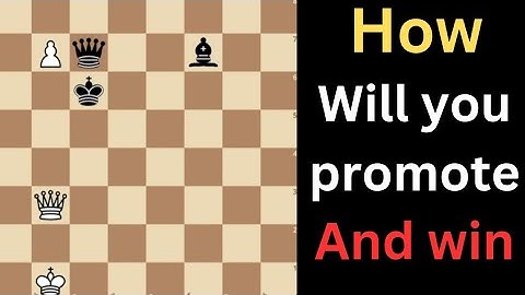 This is one of the most amazing puzzles I have ever seen