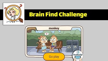 Brain Find Monkey Challenge Walkthrough