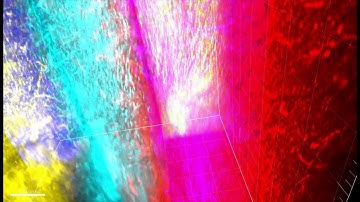 Distinct structures in the mouse visual cortex