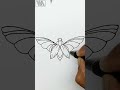 Simple Drawing Shorts Insects Sketch Firefly Drawing Simple Drawing Shorts Simple Drawing Shorts Insects Sketch Firefly Drawing Simple Drawing Shorts