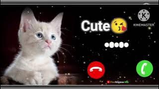 Cute Cat Baby message || ringtone SMS tune notification tone new 2024