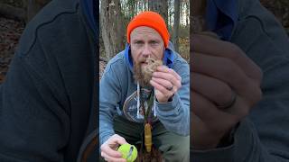 Bushcraft Fireball: See what this Bushcrafter stores in this tennis ball #shortsvideo #bushcrafters