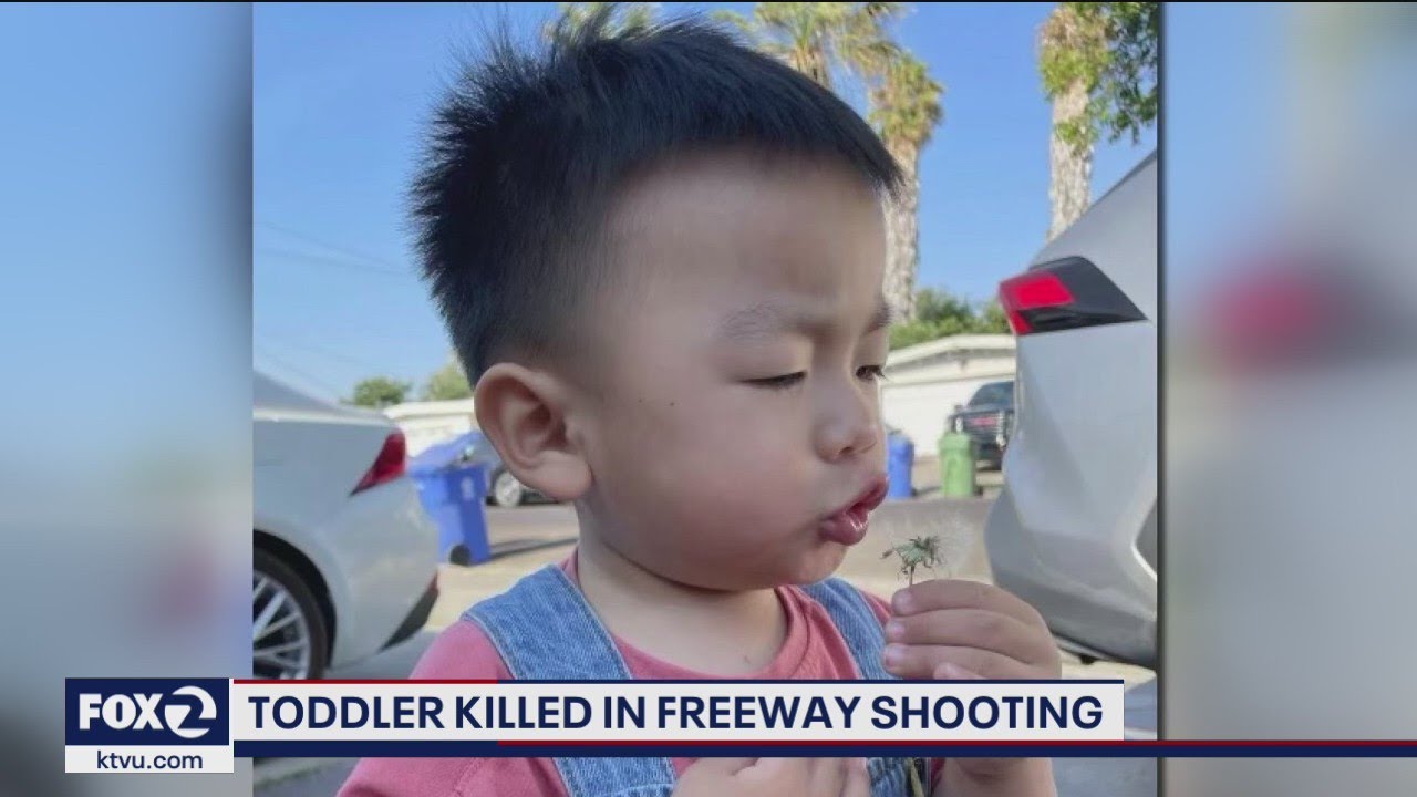 Sleeping toddler killed in crossfire on freeway YouTube