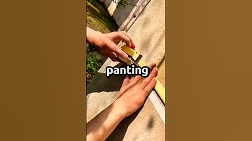 What is the rudest thing that a guest did to your pet in your home?