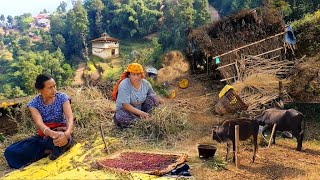 Unseen Beautiful Nepali Mountain Village Simple Lifestyle | Nepali Village Life | Rural Country Life