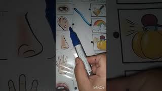 أتعرف على الحواس الخمسة بكل سهولة ✌️☺️