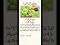 Amla Benefits – Most Powerful Fruit for Immunity, Vitamin C &amp; Health