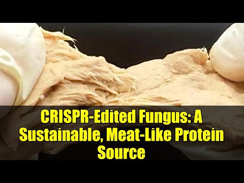 CRISPR-Edited Fungus: A Sustainable, Meat-Like Protein Source