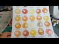 PUTTING LABELS ON YOUR INK PADS AND MAKING COLOUR CHARTS