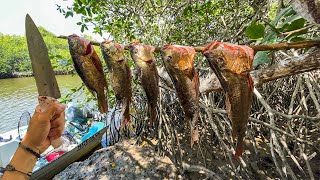 Pesca y Cocina de Pargos de Manglar!